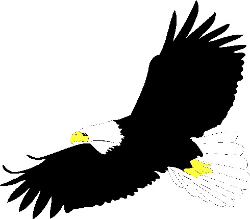 Clip Art - Clip art eagle 987456