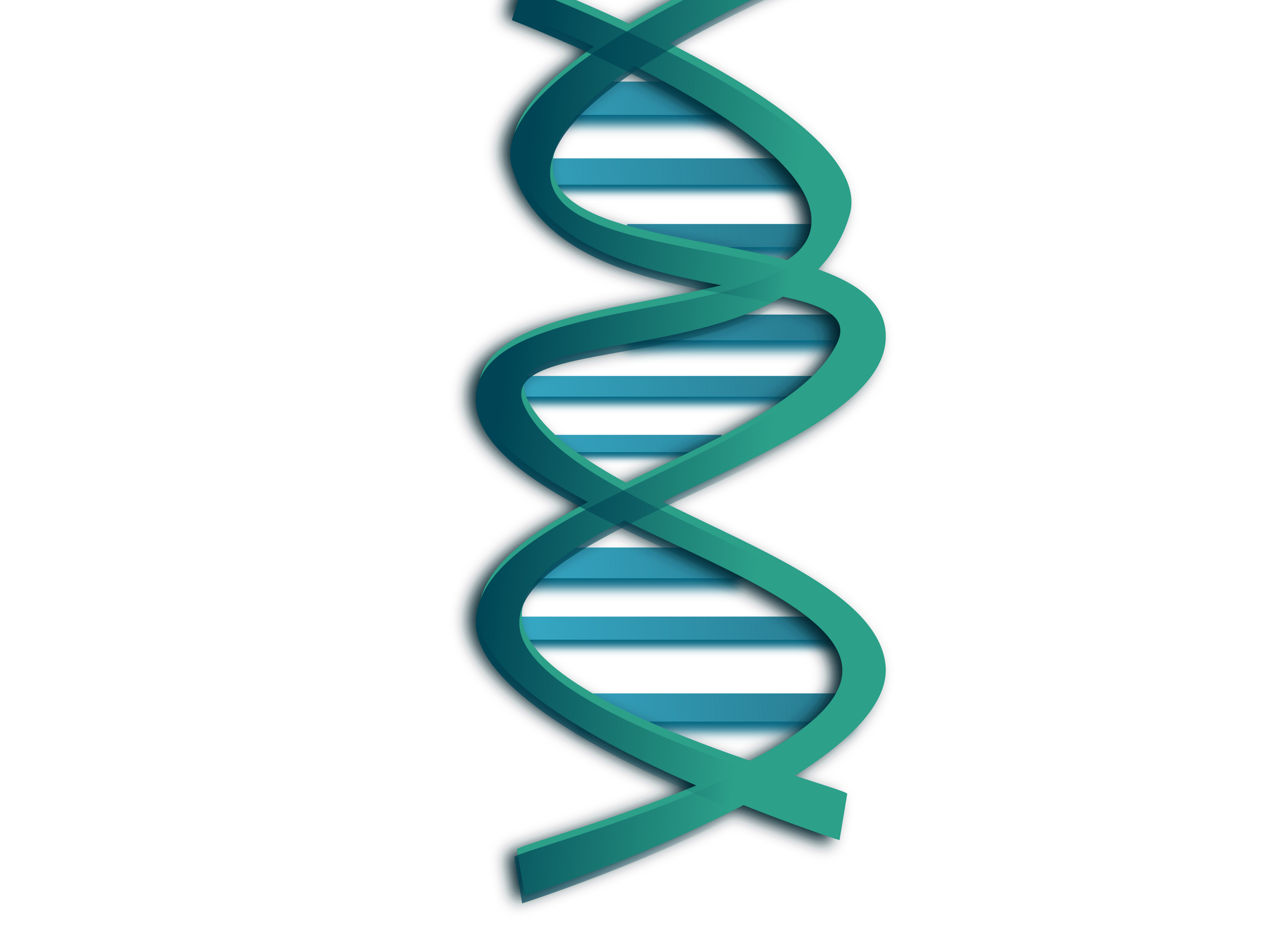 Dna clipart transparent
