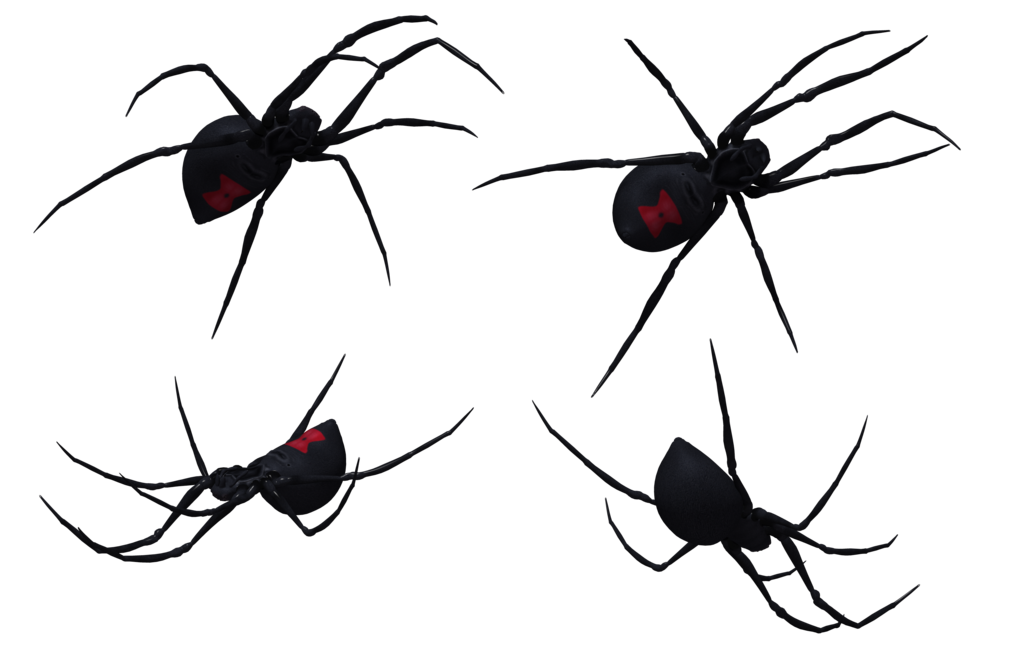 Black Widow Spider Set 12 by Free-Stock-By-Wayne on DeviantArt