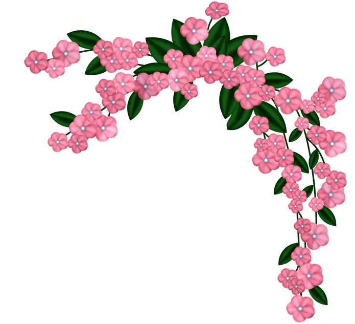 1000+ images about Flower borders & corners | Coins ...