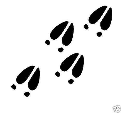 Moose Tracks Clipart