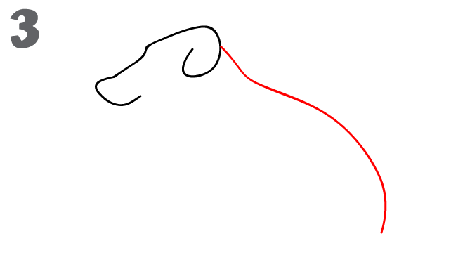 How To Draw A Dog - Step-
