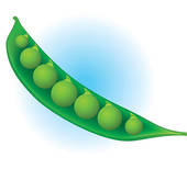 Soybean 20clipart - Free Clipart Images