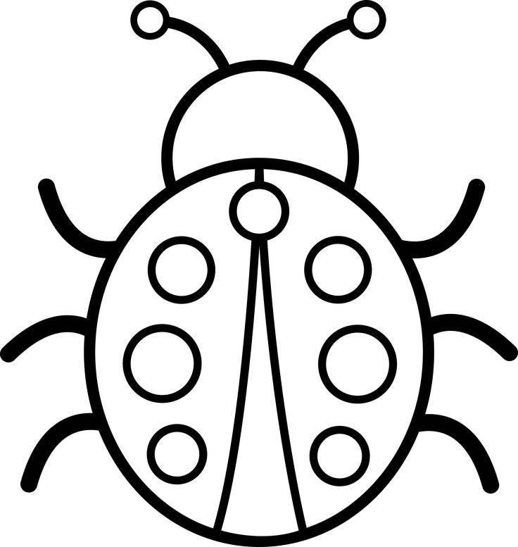 Lady bug clipart simple