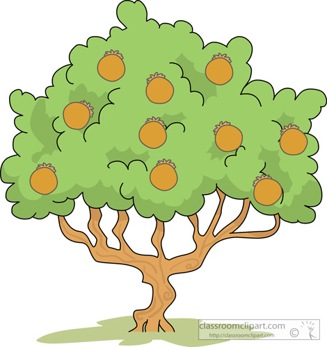Cartoon Orange Tree