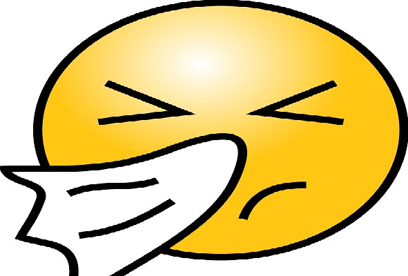 Why Do People Sneeze In A Series Of Three? | Bad dog news