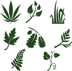 SVG files