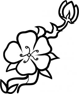 Flowers - How to Draw a Cherry Blossom for Kids