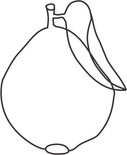 Guava Fruit Colouring Pages Sketch Coloring Page
