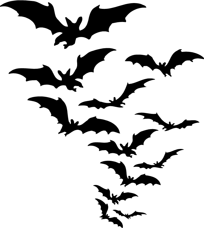 Bat Conservation Trust