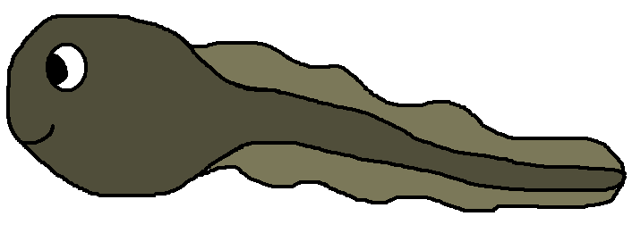 Tadpole Clipart