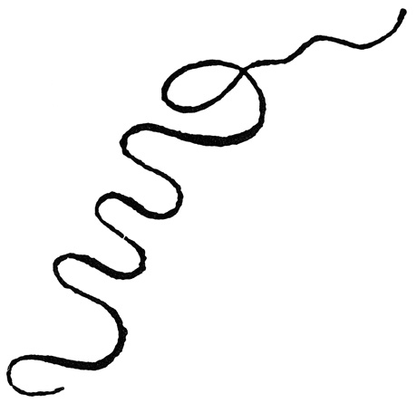 Anecdotal Evidence: `A Flourish With His Stick Thus'