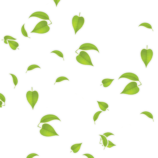 GREEN LEAF LOGO on Behance