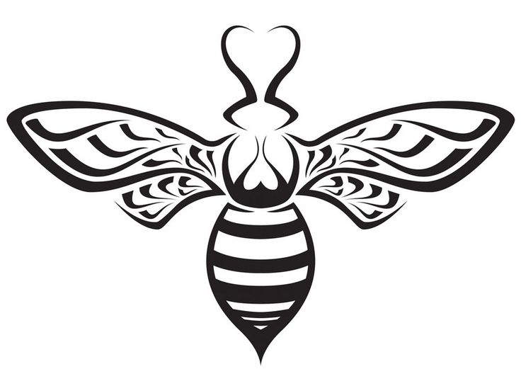 Bee Drawing | Bee Illustration ...
