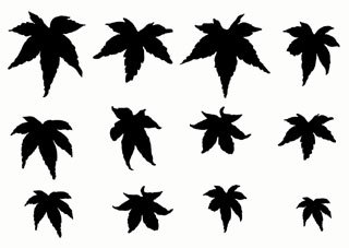 Maple Leaf Template Printable. 1000 images about leaf templates on ...
