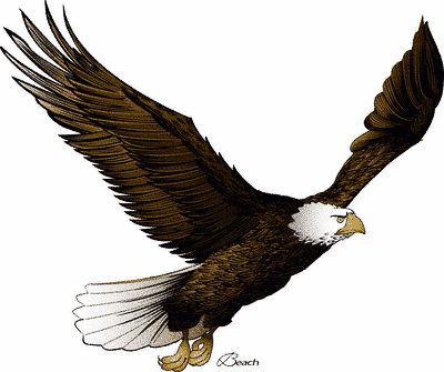 Free Eagle Clip Art Pictures - Clipartix