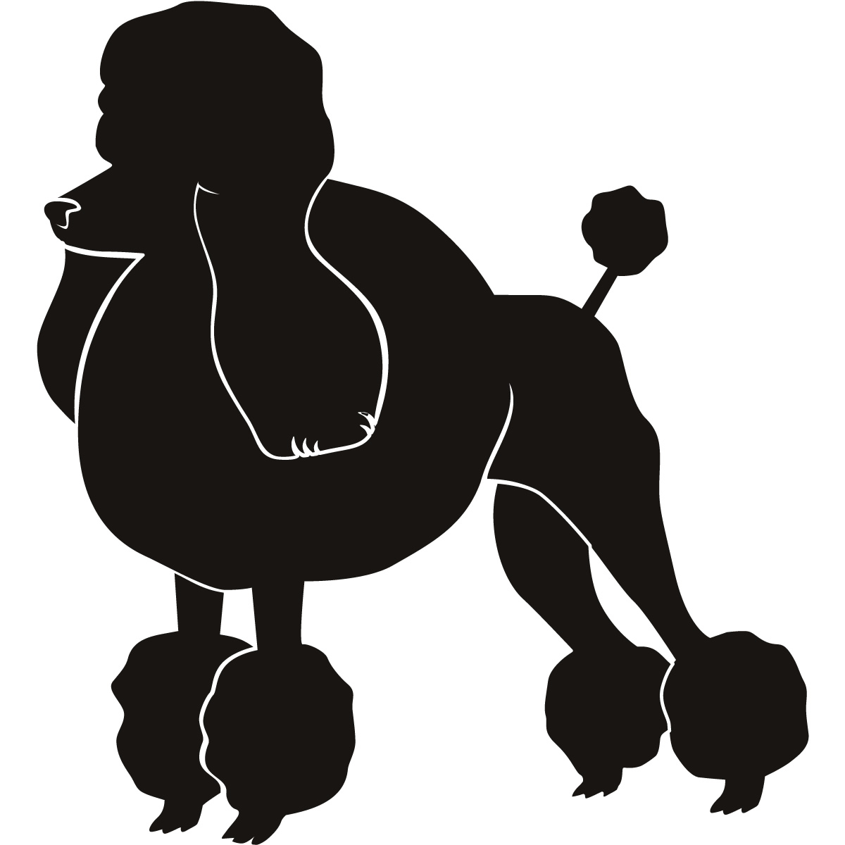19+ Black Poodle Clipart