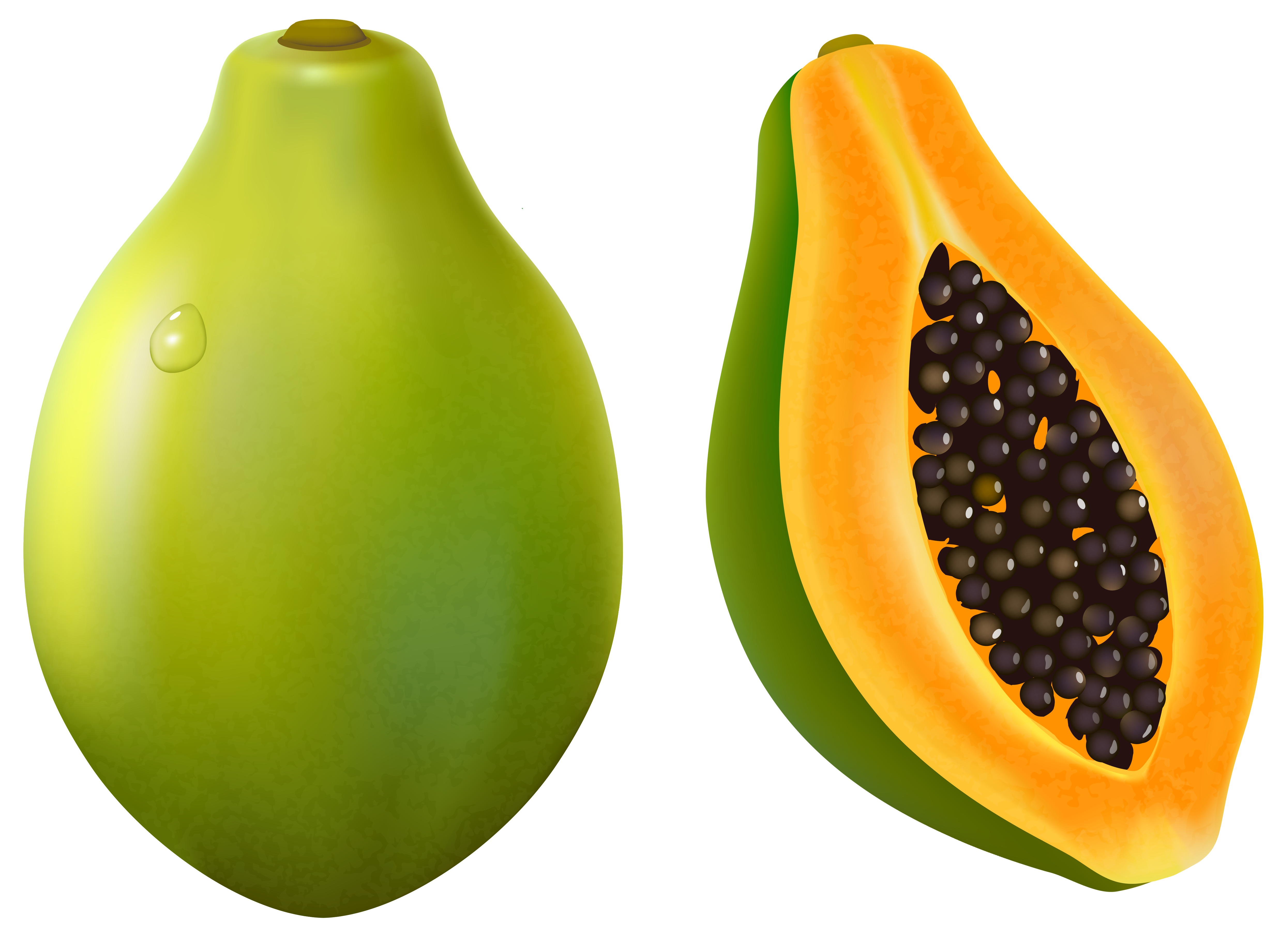 Papaya Clipart | Free Download Clip Art | Free Clip Art | on ...
