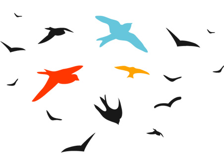 Bird 50 Free Vector