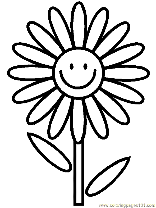Gerber Daisy Drawing - ClipArt Best