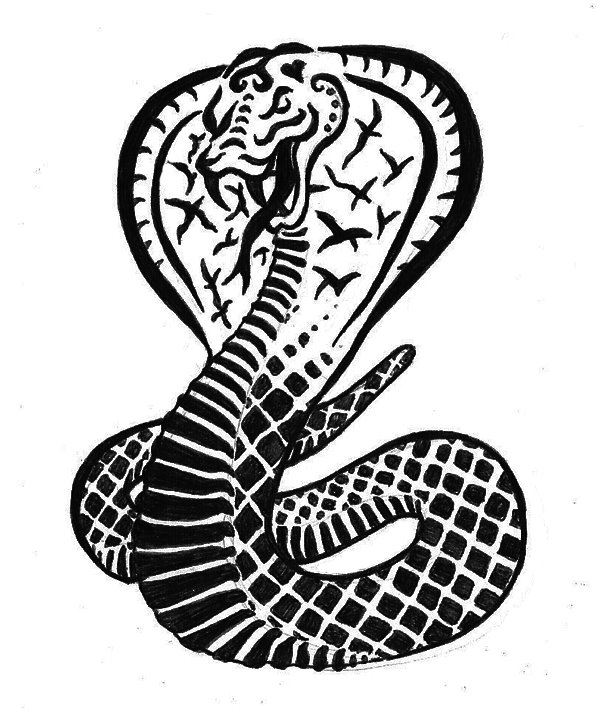 Cobra Snake Illustration Tattoo Pictures to Pin