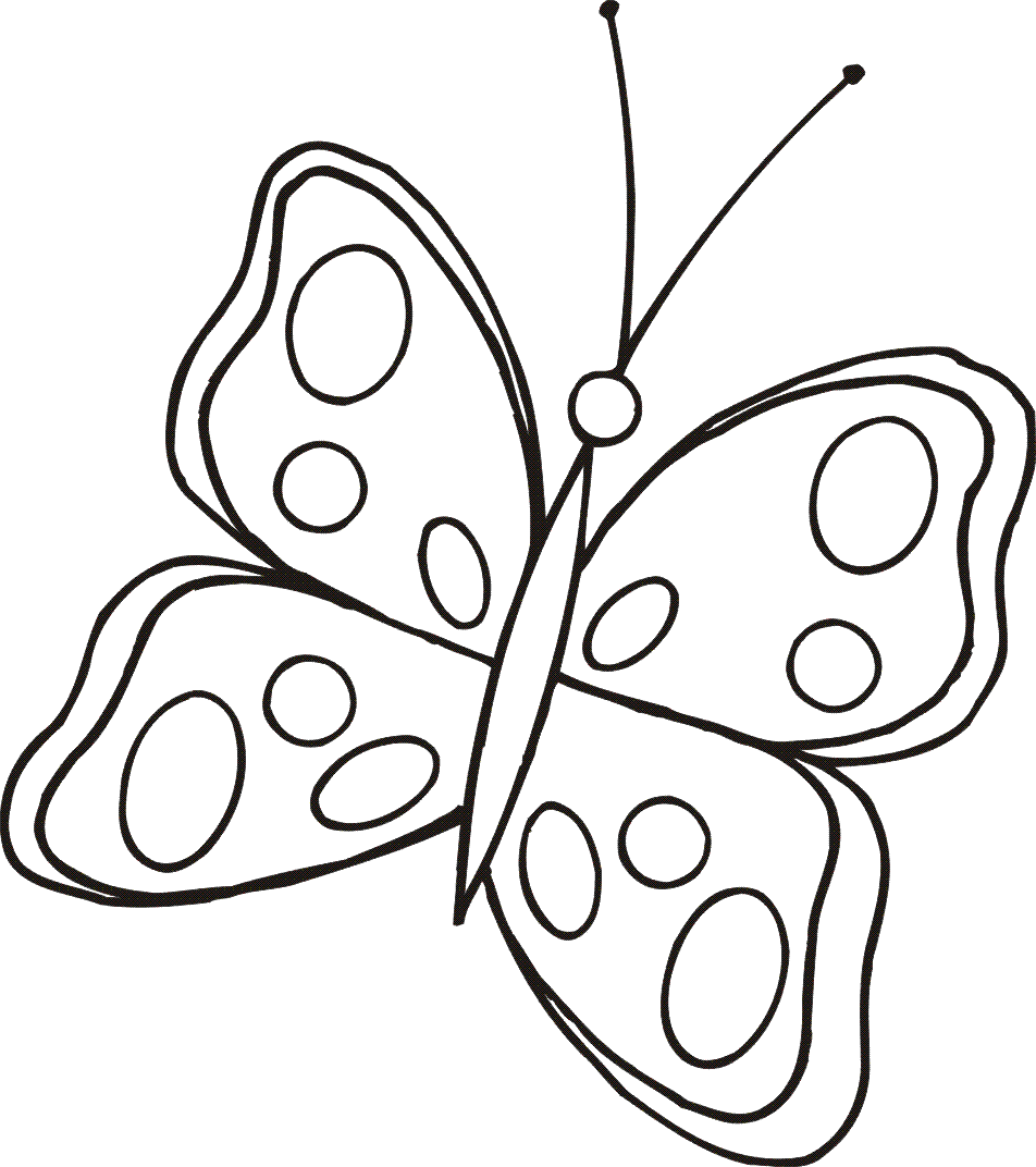 Cute Butterfly Drawings - ClipArt Best