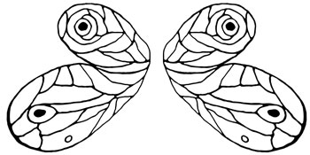 Woodland Fairy Wings