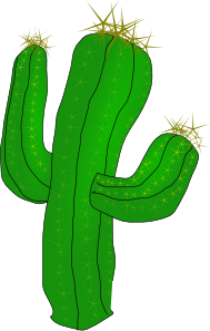 11954353621702136054saguaro_ ...