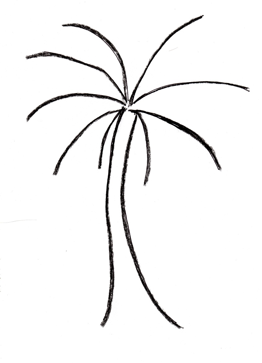 Palm Tree Drawing