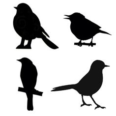 BIRDS DRAWING HOW & IDEAS