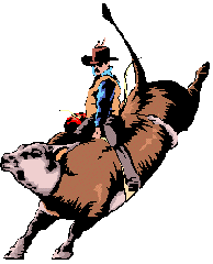 bullrider.gif