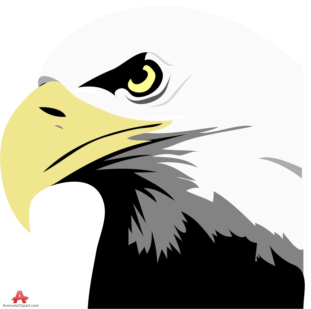 Bald Eagle Clipart | Free Clipart Design Download