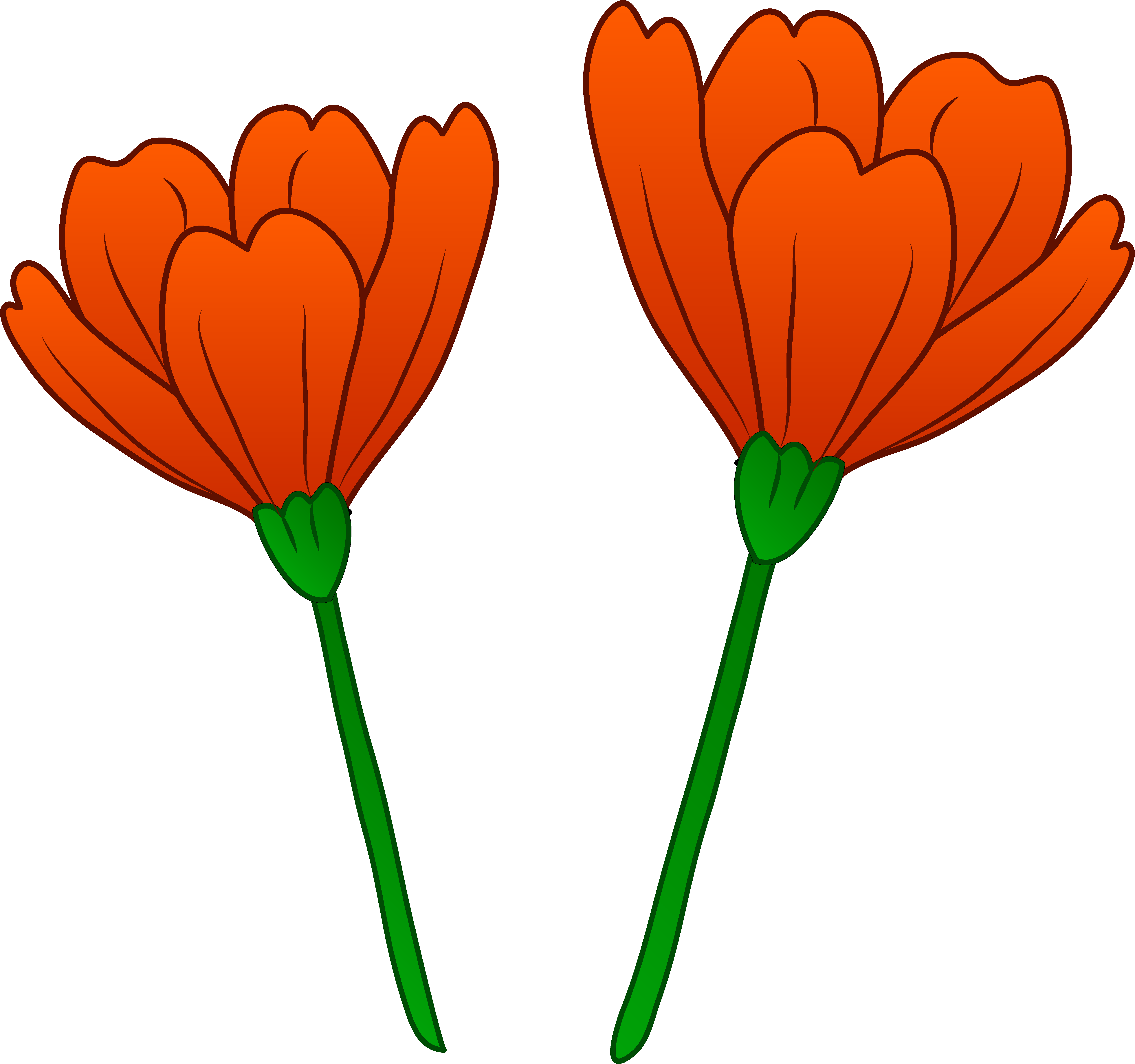 Poppy Clip Art