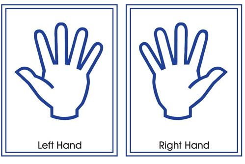 Left Hand Clip Art