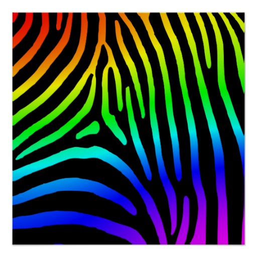 Imgs For > Rainbow Zebra Stripes