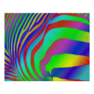 Rainbow Zebra Posters | Zazzle.com.au