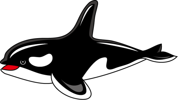 Orca Clip Art Clipart - Free to use Clip Art Resource