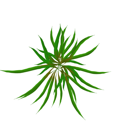 Animated Pictures Of Plants | Free Download Clip Art | Free Clip ...