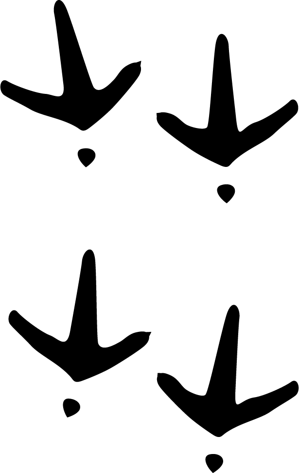 Airplane Tracks Clip Art – Clipart Free Download