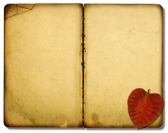 Open Bible 2 Photo | Free Download