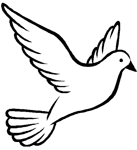 White Dove Free Clipart