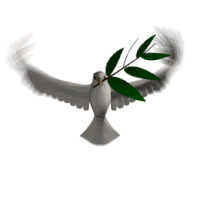 Animated Flying Dove Pictures, Images & Photos | Photobucket