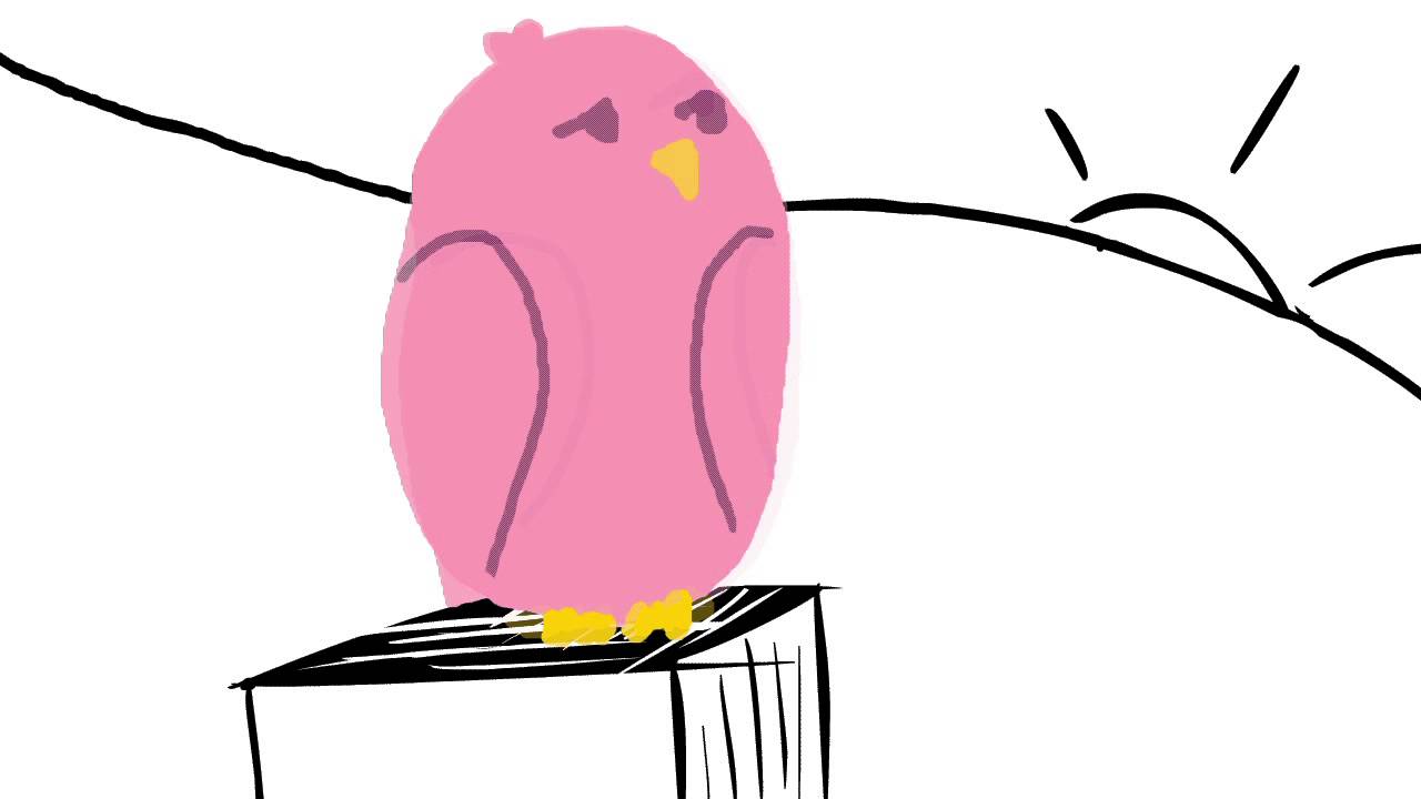 Love Bird Animation - YouTube
