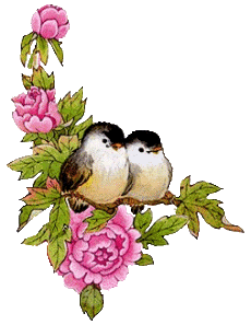 detlaphiltdic: Parrots Photos Parrot Pictures Beautiful Birds Love ...