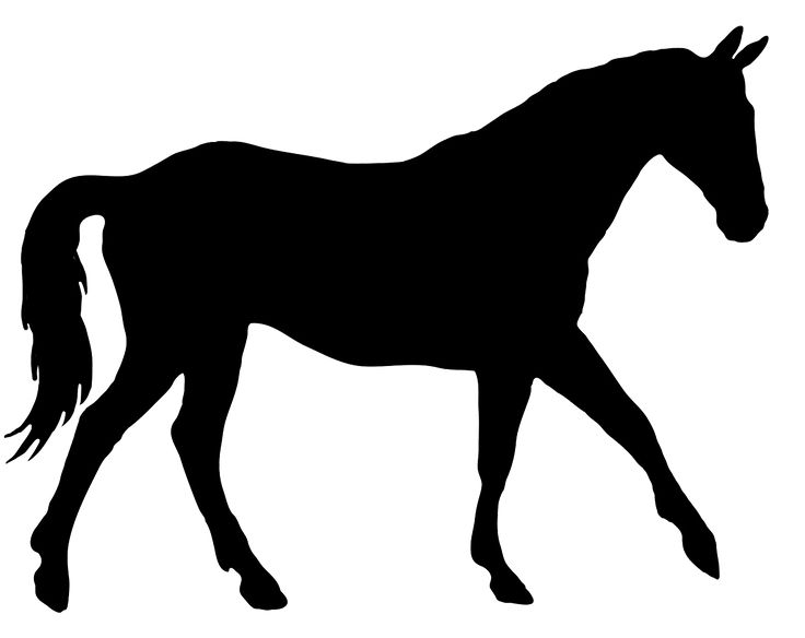 Horse Silhouette | Silhouettes ...