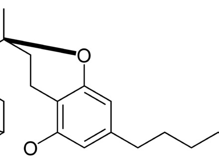 Fishbone Lab Diagram Template - wellnessarticles.net