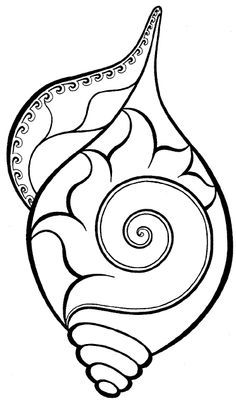 Logos, Coloring and Sea shells