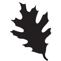 Oak Leaf Stencils