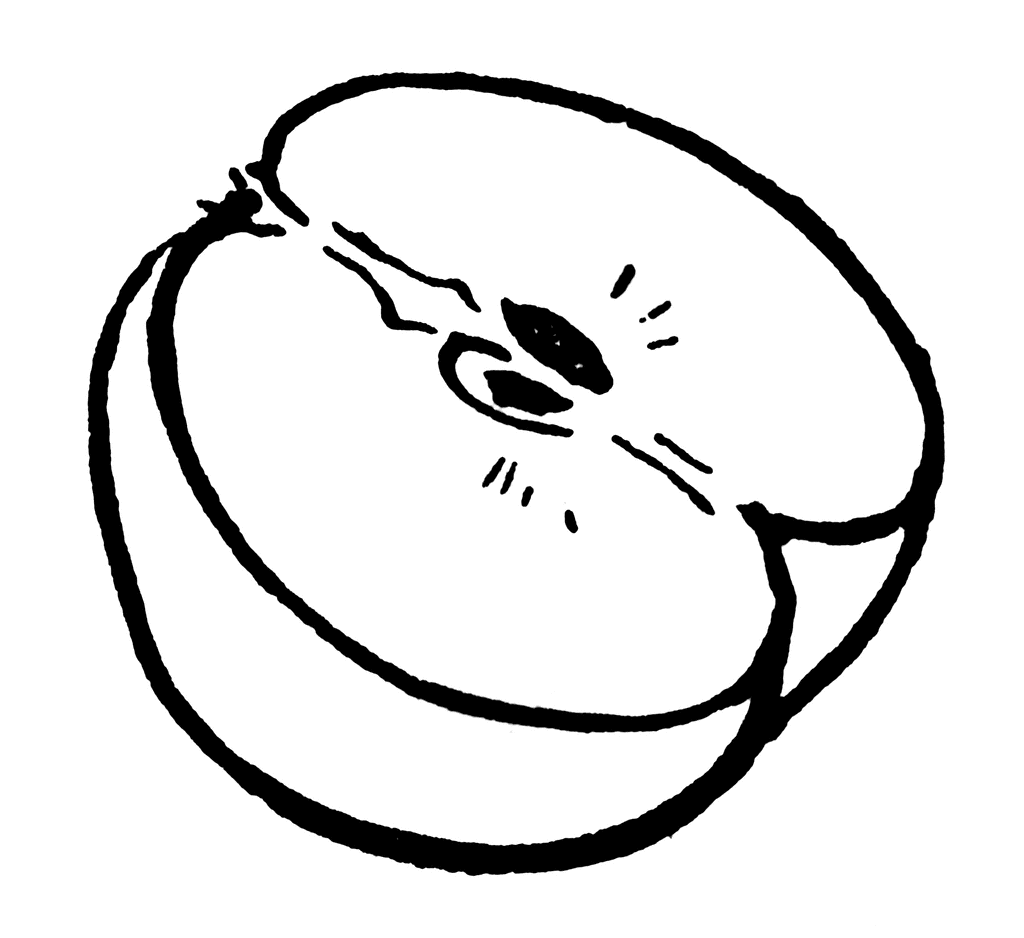 Apple Seeds Clipart Black And White
