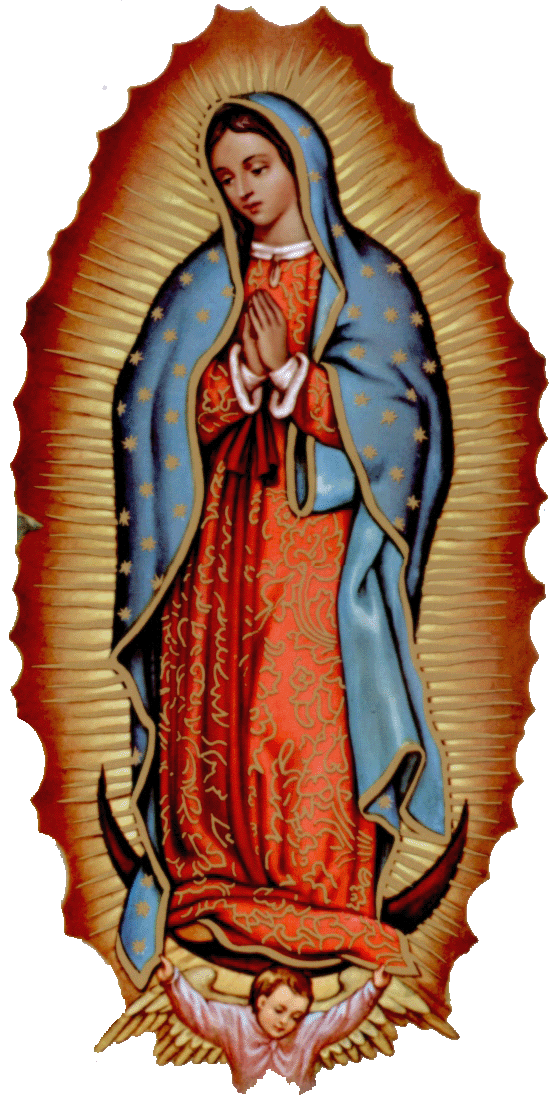 TROPICALIZER: la vierge de GUADALUPE